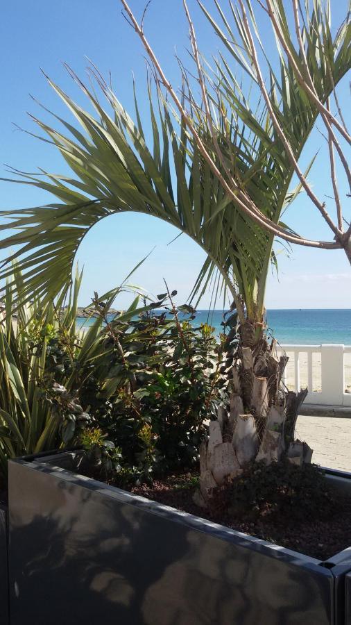 Ty Avel Studios 110 et 111 Quiberon Exterior foto